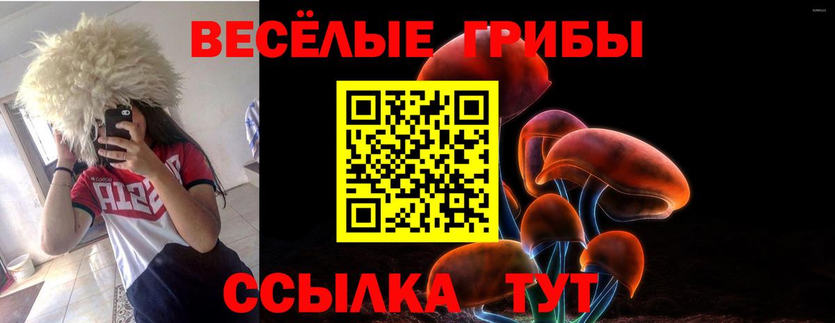 Галлюциногенные грибы Psilocybe  Галлюциногенные грибы GOLDEN TEACHER  цена   Мариинск  Вход с VPN 